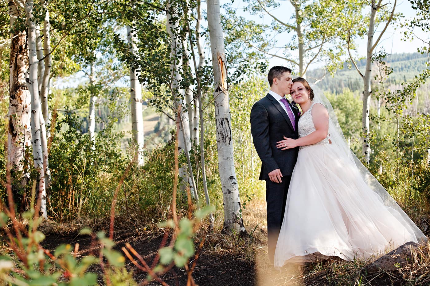 bride and groom portrait in an aspen grove
